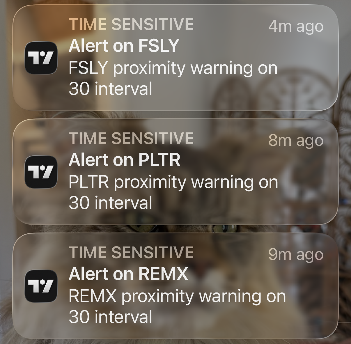 TradingView Riders Alerts on Phone